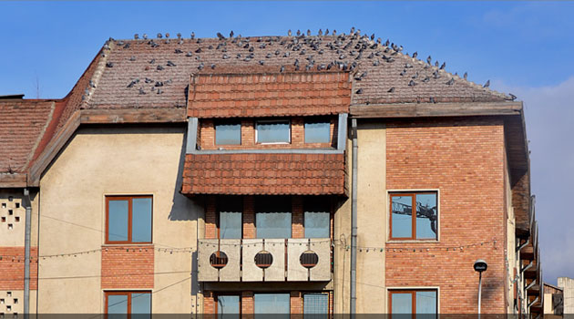 Hotel Suceava, Suceava © ArTiStul, 12 Ianuarie 2012