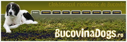 BucovinaDogs.ro
